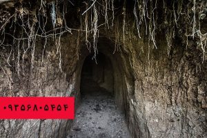
گنج یابی در جنگل | گنج یابی با درختان
