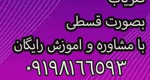 فلزیاب ۱۲ Headhunter
